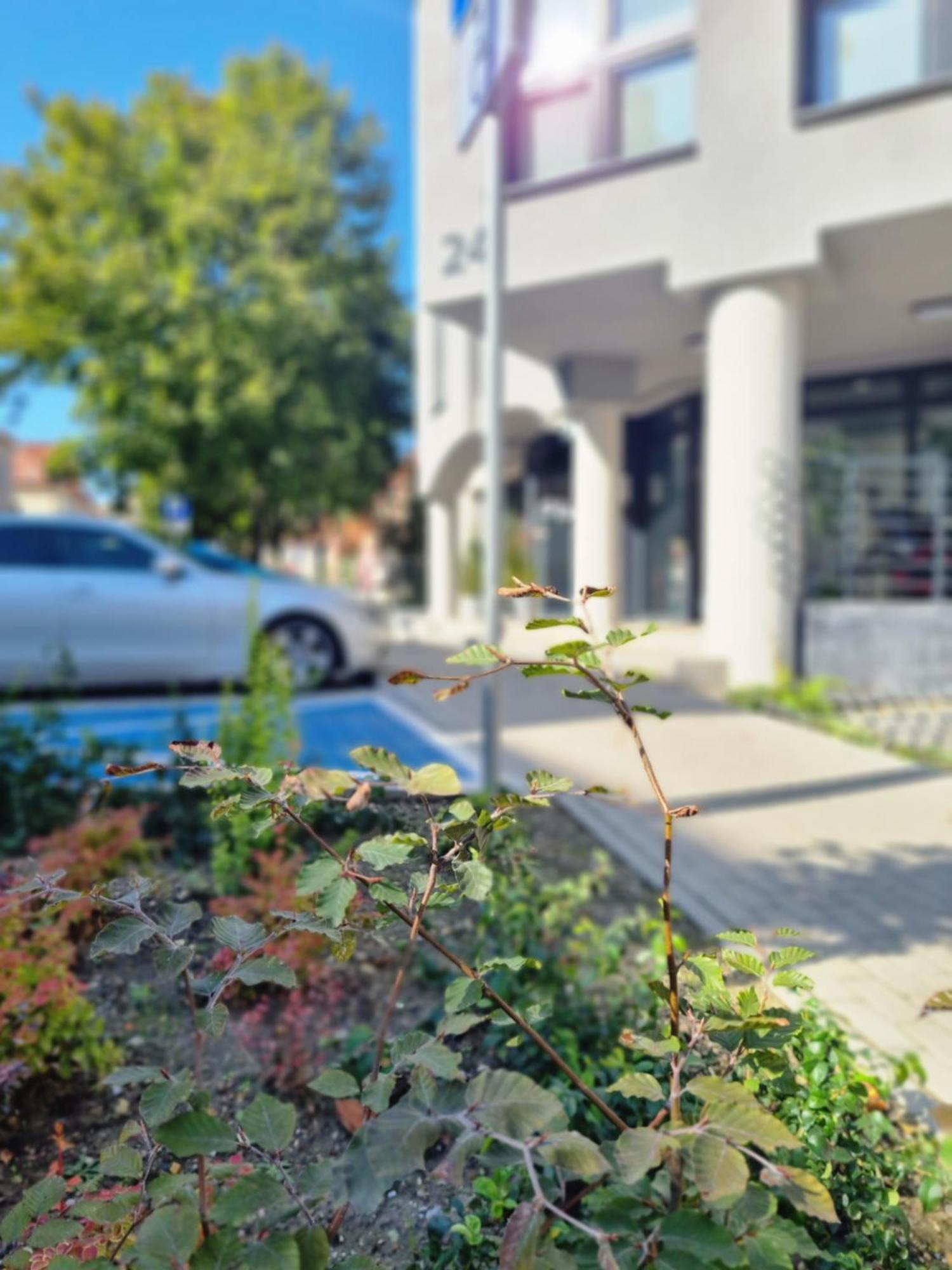 Aparthotel Bukowa Tychy Buitenkant foto